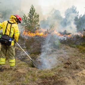 Klima Forum: Waldbrand in Deutschland? Wie real ist die Gefahr?