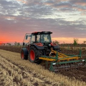 Traktor pflügt Feld