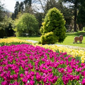 Im Vordergrund ein Blumenbeet, im Hintergrund eine Rasenfläche