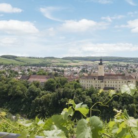 Blick auf Schloss Horneck