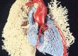 Anatomisches Museum Basel