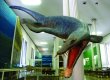 Staatliches Museum für Naturkunde Karlsruhe
