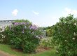 Conservatoire et Jardins botaniques de Nancy