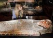 Impression der Ausstellung "Ägypten - Land der Unsterblichkeit" im Museum Weltkulturen D5, Reiss-Engelhorn-Museen