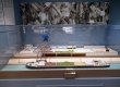 Museum exhibition