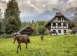 110 historic buildings from all regions of Switzerland, over 200 farm animals and craftsmanship from days gone by: at Ballenberg you experience Switzerland with all your senses. 