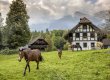 110 bâtiments historiques originaires de toutes les régions de Suisse, 200 animaux de ferme et des artisanats anciens: le Ballenberg vous invite à découvrir les nombreuses facettes de la Suisse. 