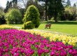 Im Vordergrund ein Blumenbeet, im Hintergrund eine Rasenfläche