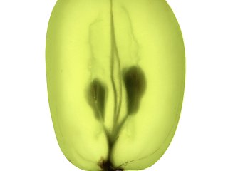 Achim Weinberg_Jutta_Fotografie
