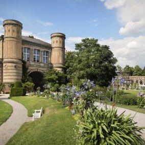 Botanischer Garten Karlsruhe