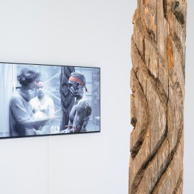 Dhulu, Baumstamm der Kamilaroi Gemeinschaft der Aboriginies