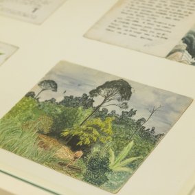Einblick in Bruno Mansers Tagebuch mit Blick auf den Regenwald