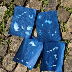 Vier Kunstwerke mit Blaudruck-Verfahren mit versch. Pflanzen-Sujets darauf