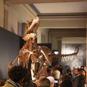 Dinosaurierskelett im Naturhistorischen Museum Basel (c) Jeton Shali