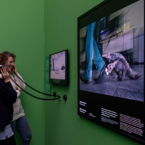 Hörstation in der Ausstellung Wildlife Photographer of the Year (c) Bettina Matthiessen