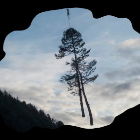 Sonja Feldmeier, «Slow Fox» 