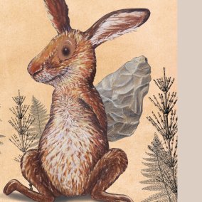 Gwunderhaas Museum.BL & KBL_Illustration, Kathrin Schärer