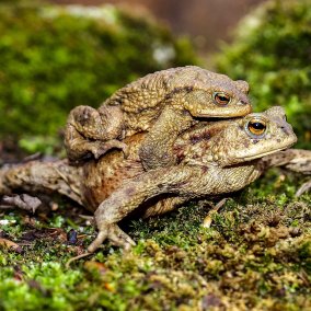 Vernissage: Neue Naturschätze im «Wilden Baselbiet»