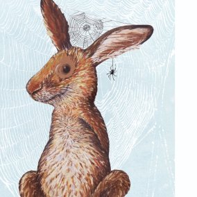 Gwunderhaas Museum.BL & KBL_Illustration, Kathrin Schärer