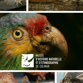 Musée d'Histoire Naturelle et d'Ethnographie