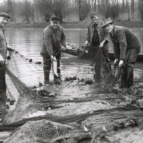 Vier Männer am Altrheinufer mit einem Fischernetz und Fischen im Hintergrund ein Boot