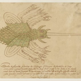 Jean Rabel, Sorte de mouches descendues des montagnes de l’Allemagne (extrait), 16e siècle, cote : RESERVE ED-10 (A)-FOL © Bibliothèque nationale de France