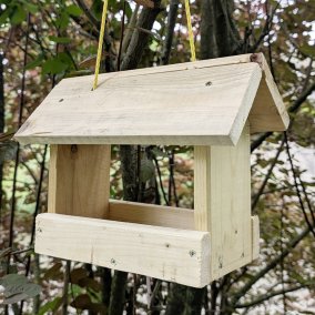 Wald X Würth «Futterhaus bauen»