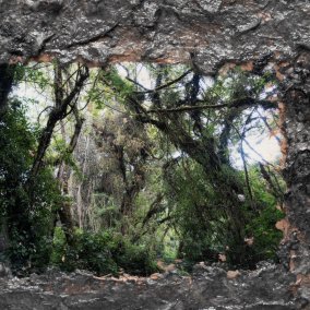 Die Sprache der Pflanzen, Experimentelles Rollenspiel (LARP) mit Roman Schramm