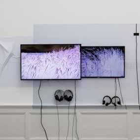 Ausstellungsansicht, Anna Barham: delirious mantra, Badischer Kunstverein, Karlsruhe 2026, Foto: Felix Grünschloß