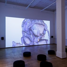 Ausstellungsansicht, Anna Barham: delirious mantra, Badischer Kunstverein, Karlsruhe 2026, Foto: Felix Grünschloß
