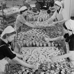 Arbeiterinnen und Arbeiter der Bell AG verpacken Würste in Konservendosen, 1939. Foto: Lothar Jeck. Staatsarchiv Basel-Stadt, BSL 1060c 3/3/405