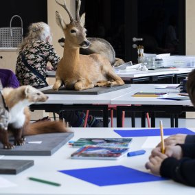 Tierzeichnen am Abend