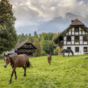 Über 100 historische Gebäude, zahlreiche Handwerke und über 200 Bauernhoftiere können im Freilichtmuseum Ballenberg entdeckt werden.