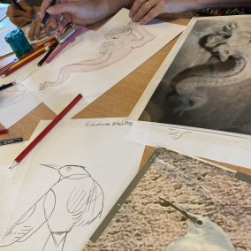 Magical or fairytale characters - Drawing workshop ©Château du Haut-Koenigsbourg