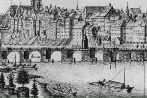 Der Rhein und seine Weidlinge