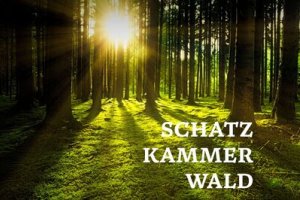 Schatzkammer Wald 