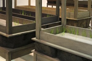 Doris Salcedo's Plegaria Muda