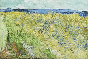 Ein Bild mit einem Weizenfeld mit Kornblumen von Vincent van Gogh