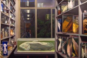 Stéphane Belzère, La Salle des Pièces molles, Nocturne, 2000, Peinture vinylique sur toile, FRAC Ile-de-France © ADGAP, Paris, 2021