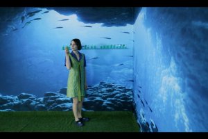 Videoinstallation von Laila Kalettas «Cilia in the net of analogies»