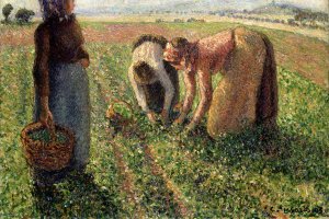 Camille Pissarro, «Die Erbsenernte, Eragny»