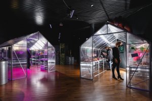 Part of the exhibition space of the temporary exhibition "SUPER - The Second Creation". You can see two greenhouses lit from the inside in a dark room.