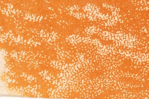 Oranger Holzdruck, Franz Gertsch