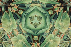 Kaleidoscopic view of the painting Bromelia