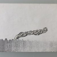 Alex Silber, Dschungelrodung – Schall und Rauch, 1971, © Alex Silber 