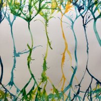 Peinture avec encres de couleur représentant des lignes d'arbres avec des racines et leur branches 