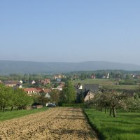 The Pechelbronn region