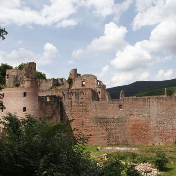 Ruines du château de Hardenburg