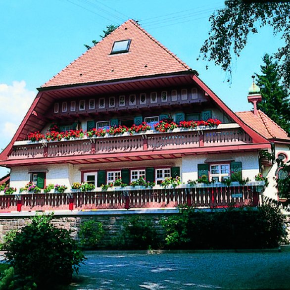 Hansjakob-Museum im Freihof