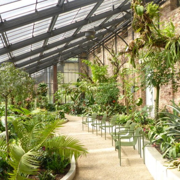 Botanischer Garten Karlsruhe